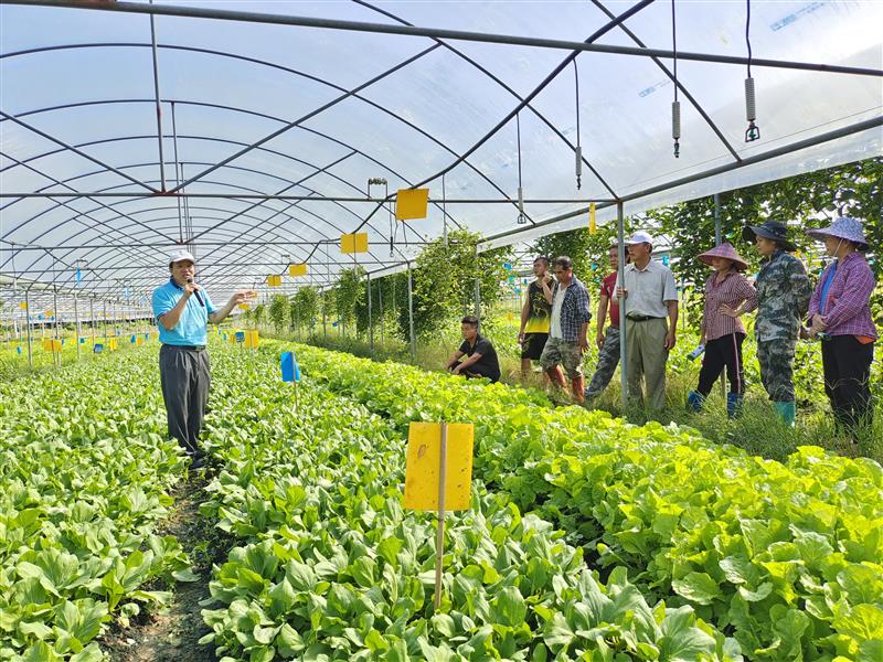 中國熱帶農(nóng)業(yè)科學院 深耕種植技術(shù)，媒體報道彰顯創(chuàng)新力量